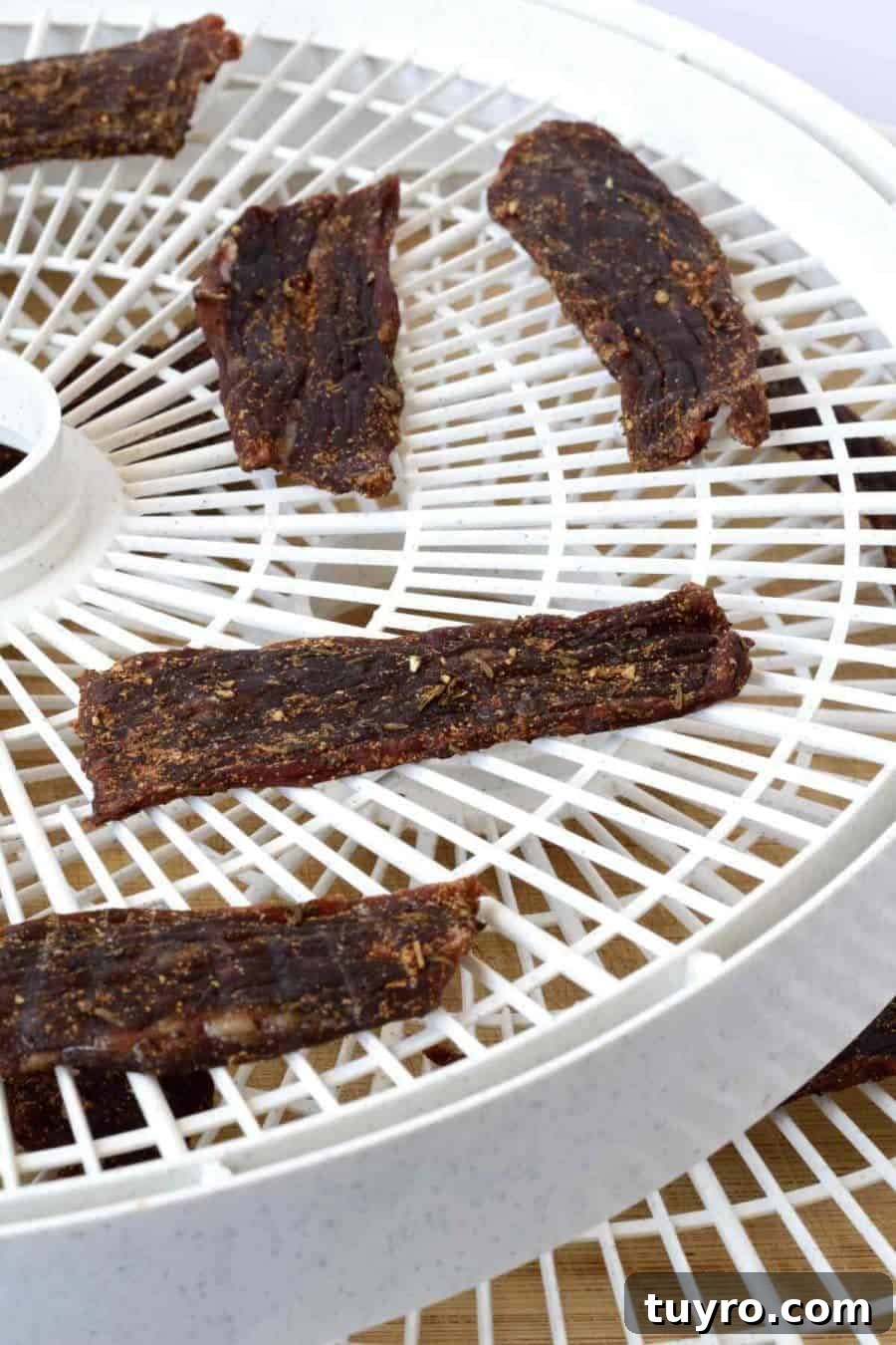 Jamaican jerk Beef Jerky 