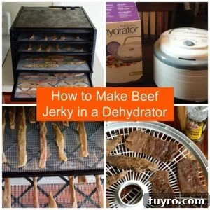 Learn how to make Beef Jerky in a dehydrator. It's easy, fast, and delicious! | Jerkyholic.com