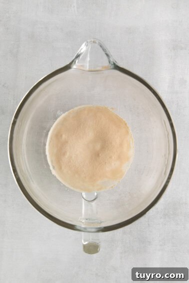 Homemade Parmesan Garlic Knots Recipe 10 Activating the yeast in a bowl.