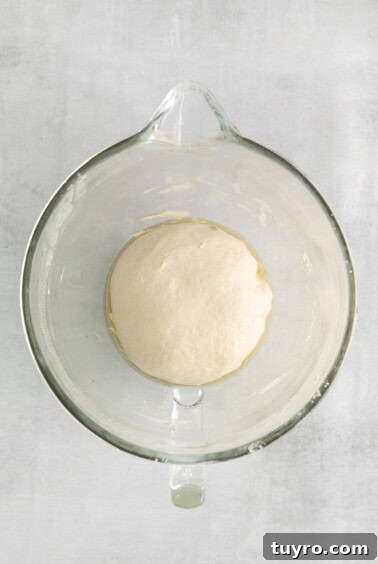 Homemade Parmesan Garlic Knots Recipe 11 Dough in a greased bowl.