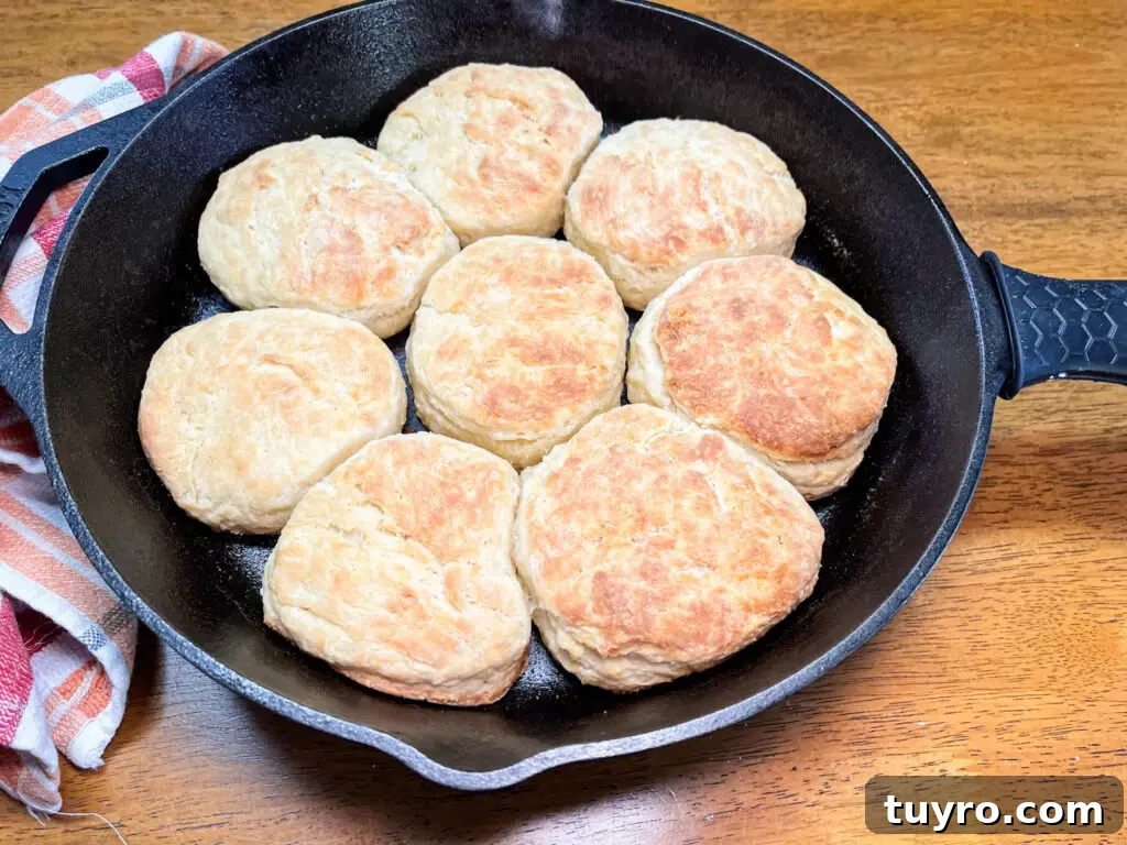 Flaky Southern Cathead Biscuits Recipe for Perfect Breakfast 2 img 13858 1