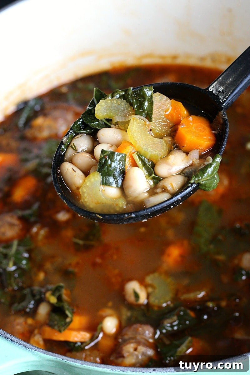 One-Pot Cannellini Bean, Sausage and Kale Soup 5 Cannellini Sausage Kale Soup and a black ladle.