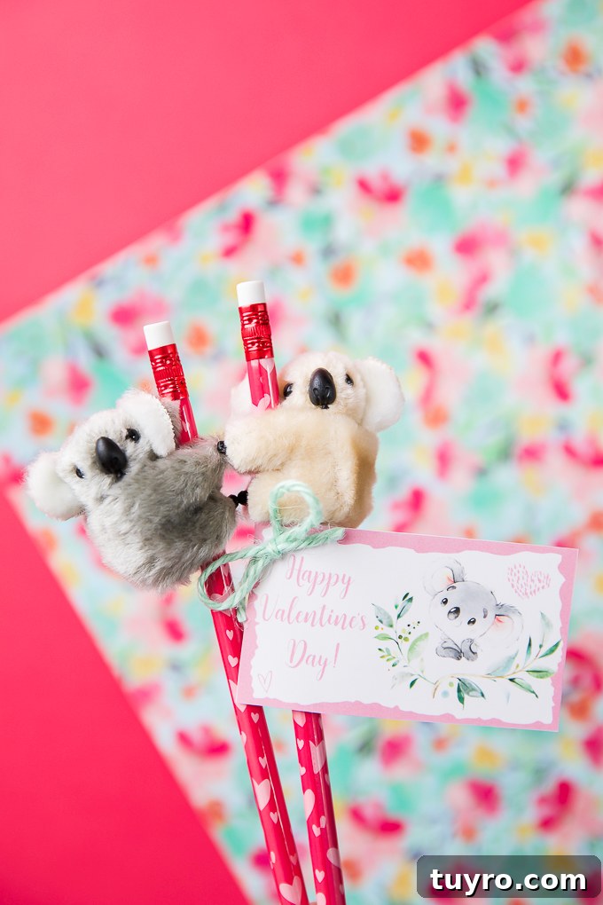 Koala Valentine Gifts and Card Ideas for Loved Ones 2 Koala Pencil Topper Valentines