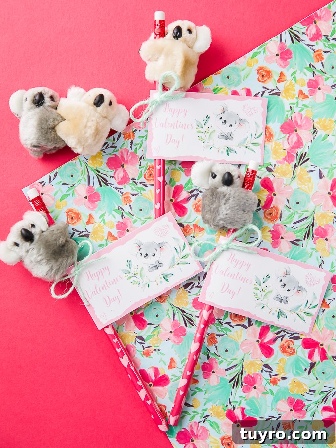 Koala Valentine Gifts and Card Ideas for Loved Ones 3 Handmade Koala Valentines