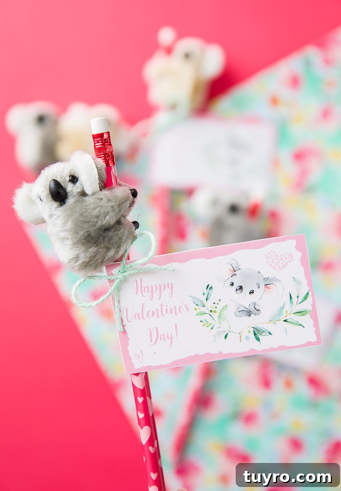 Koala Valentine Gifts and Card Ideas for Loved Ones 5 Koala pencil huggers and printable cards
