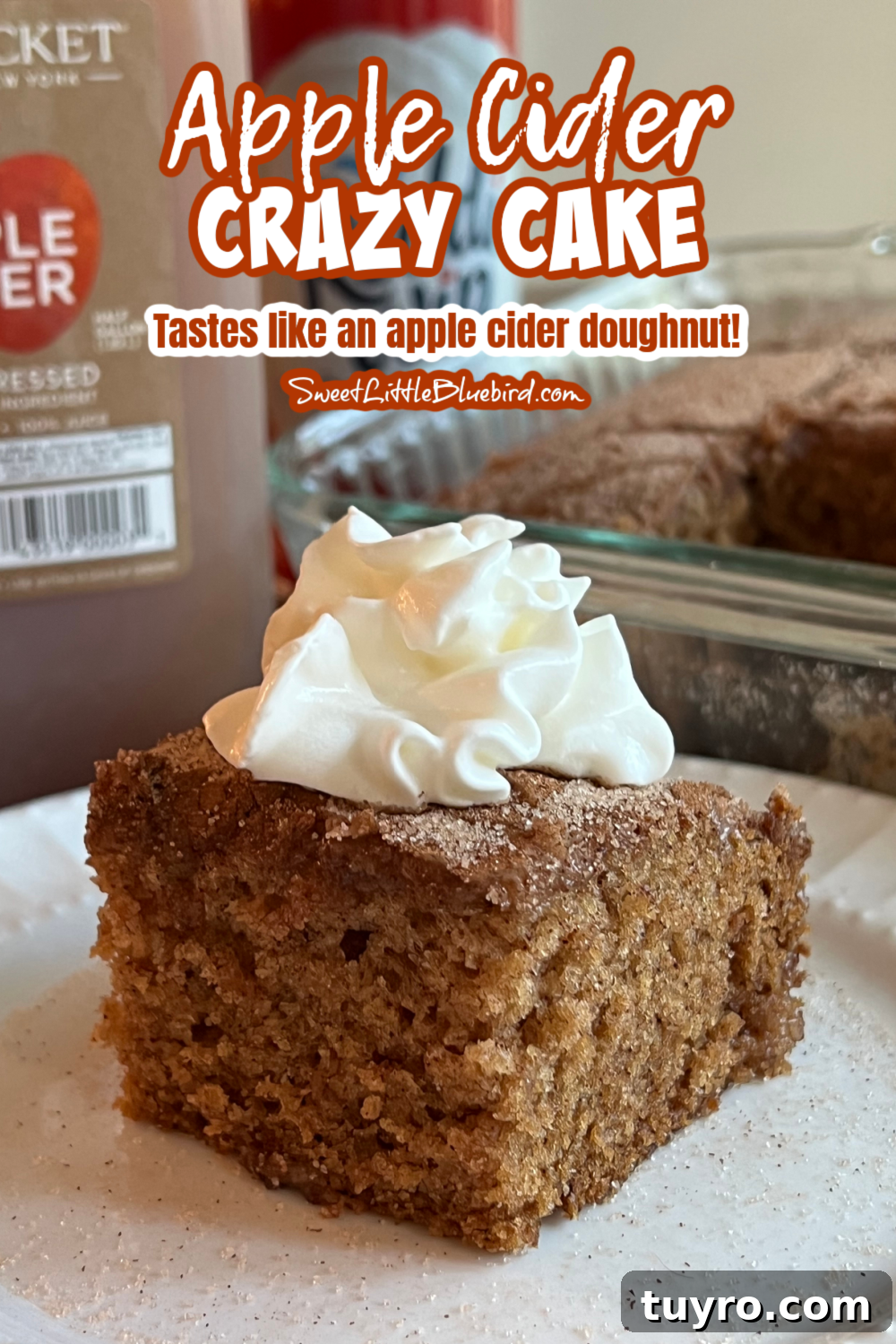 Apple Cider Crazy Cake — Vegan, Dairy-Free, No Eggs or Butter 2 This photo shows Apple Cider Crazy Cake server on a plate with a dollop of whipped cream.