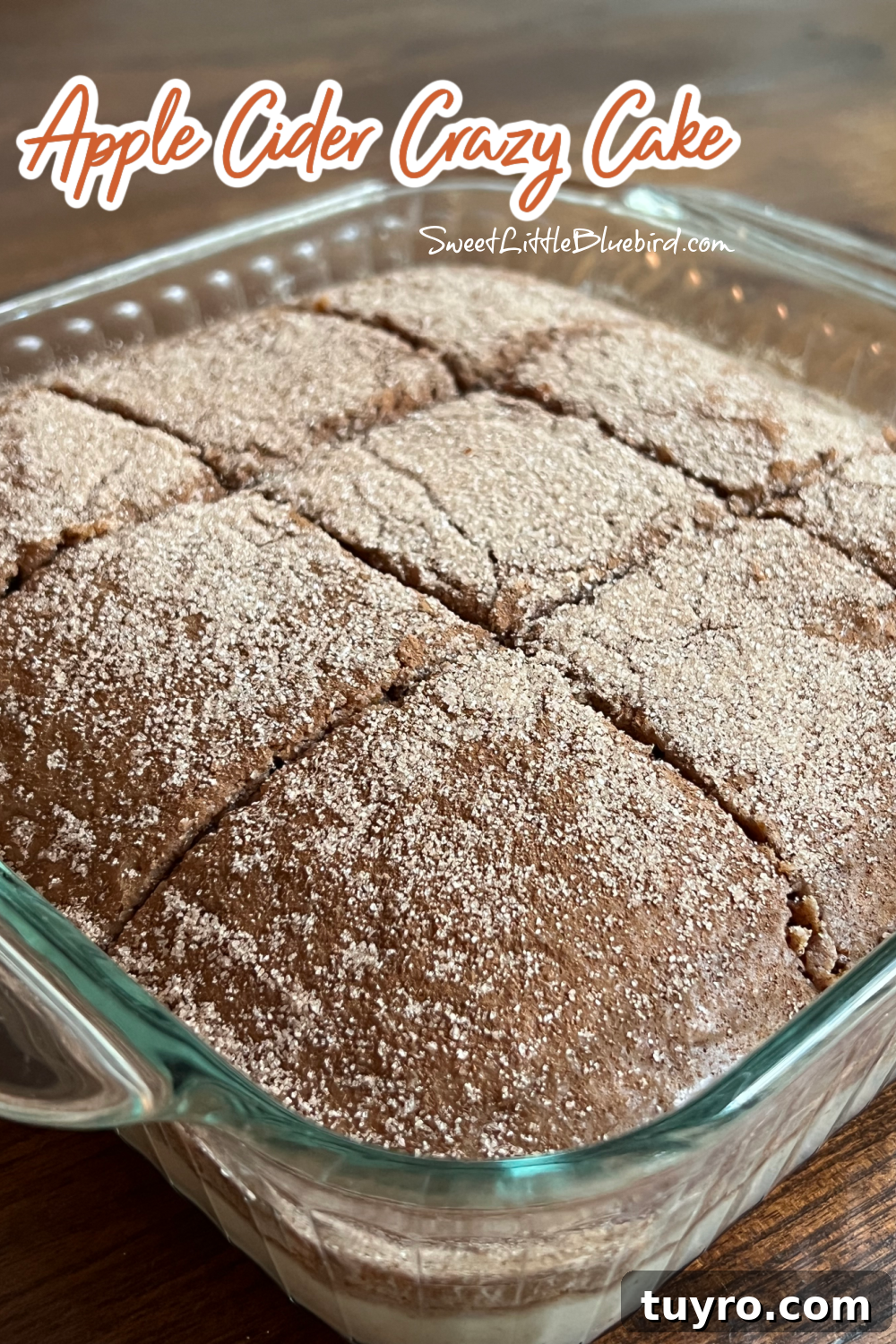 Apple Cider Crazy Cake — Vegan, Dairy-Free, No Eggs or Butter 3 This shows the Apple Cider Crazy Cake after baking in the clear glass baking pan, cut into 9 equal square pieces, ready to serve.