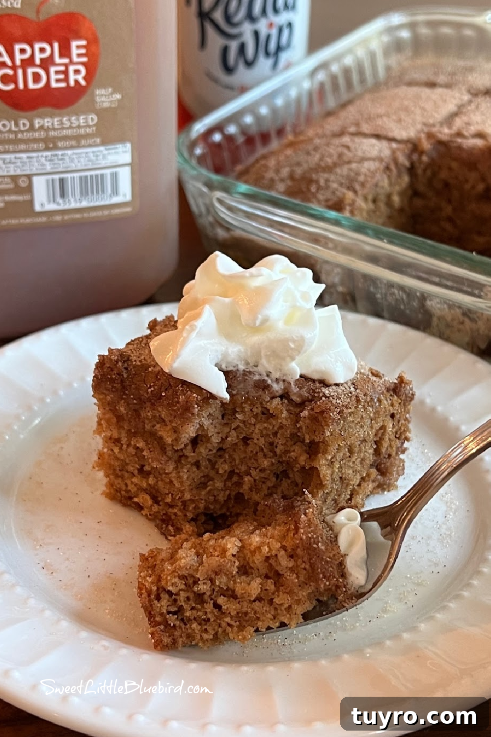 Apple Cider Crazy Cake — Vegan, Dairy-Free, No Eggs or Butter 8 This photo shows a piece of Apple Cider Crazy Cake on a plate with a dollop of whipped cream on top, with a spoonful of cake on a fork.