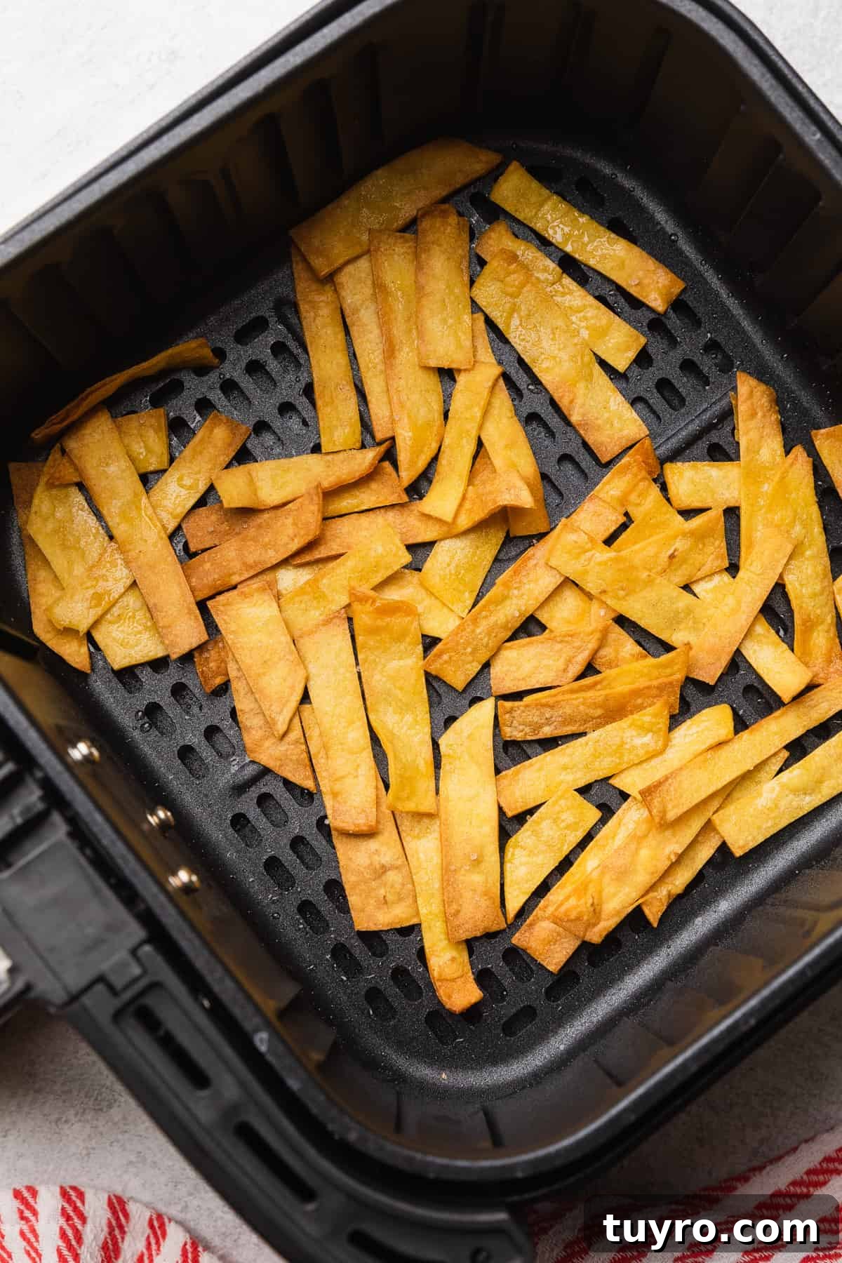 Crispy Air Fryer Tortilla Strips for Salads and Soups 2 Corn tortilla strips cooked to a light golden brown.