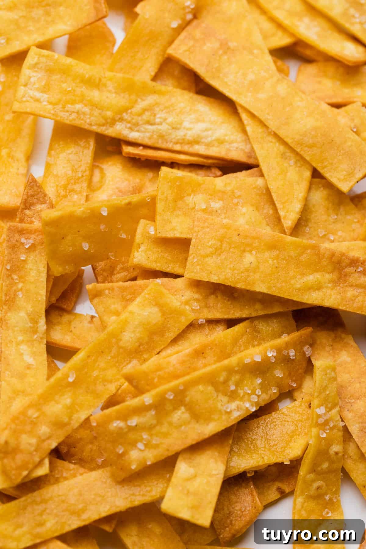 Crispy Air Fryer Tortilla Strips for Salads and Soups 8 The completed air fryer tortilla strips recipe.