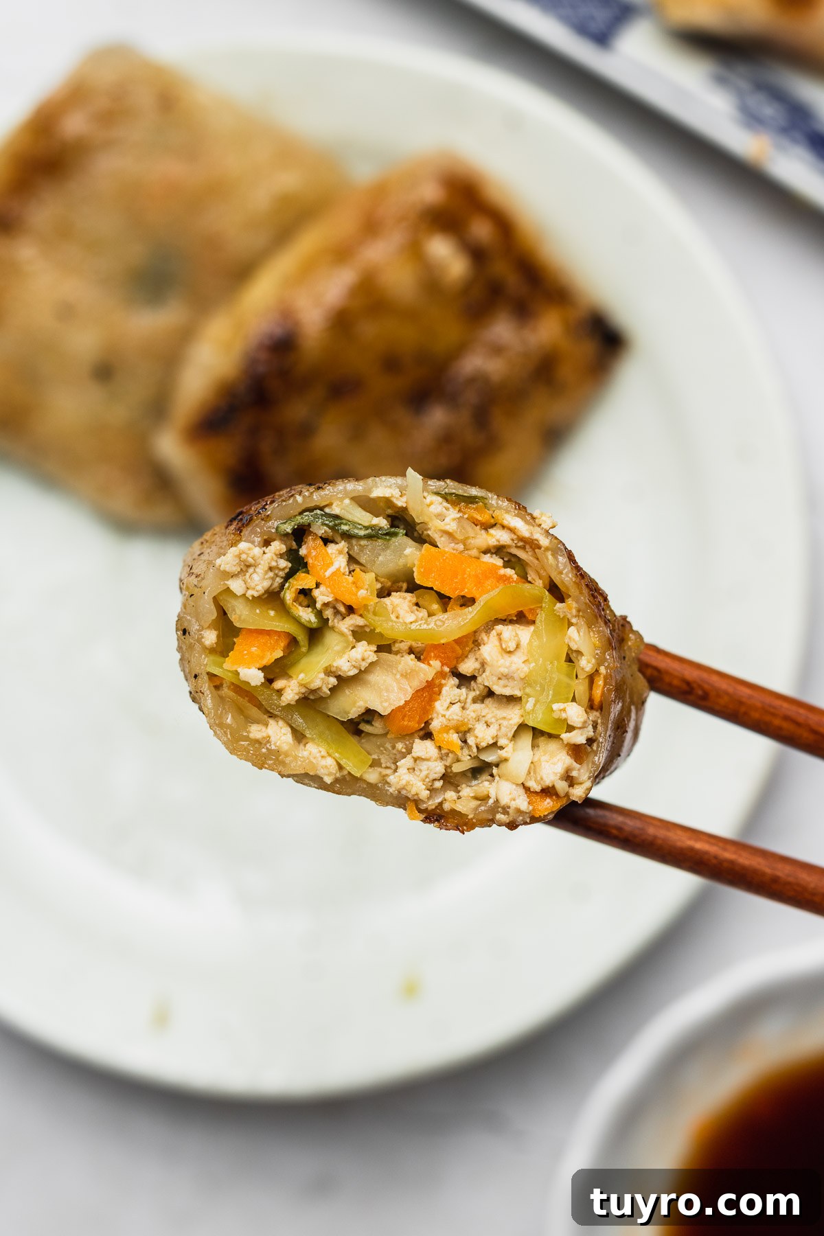 holding rice paper dumplings with chopsticks