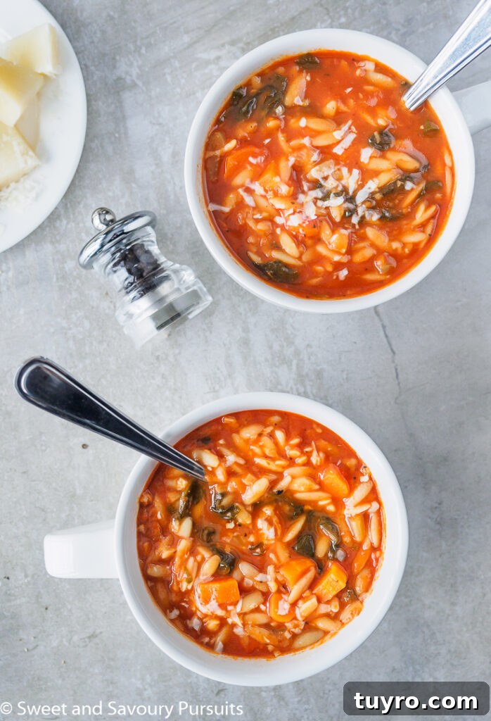 Tomato Orzo Soup with Fresh Basil 2 Tomato orzo soup served in large white mugs.