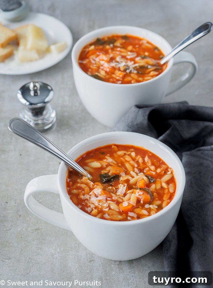 Tomato Orzo Soup with Fresh Basil 3 Homemade tomato orzo soup topped with grated Parmesan and served in large white mugs.