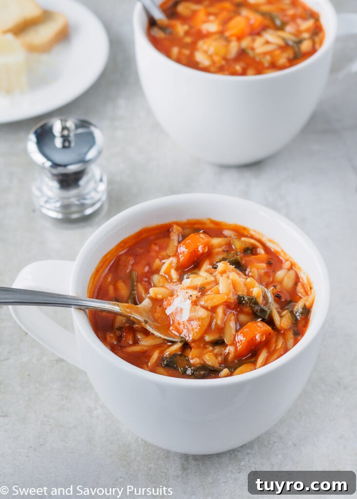 Tomato Orzo Soup with Fresh Basil 4 Tomato Orzo Soup with freshly grated Parmesan cheese in large white mug.