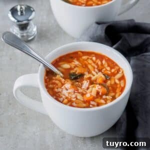 Tomato Orzo Soup with Fresh Basil 5 Bowl of tomato orzo soup.