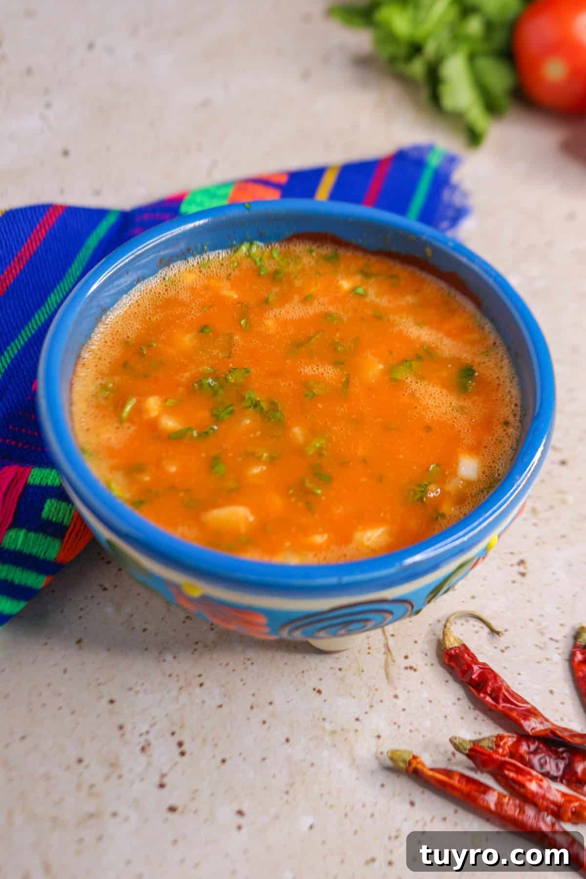 Spicy Chile de Árbol Tomato Salsa 11 Chile de arbol salsa in salsa bowl