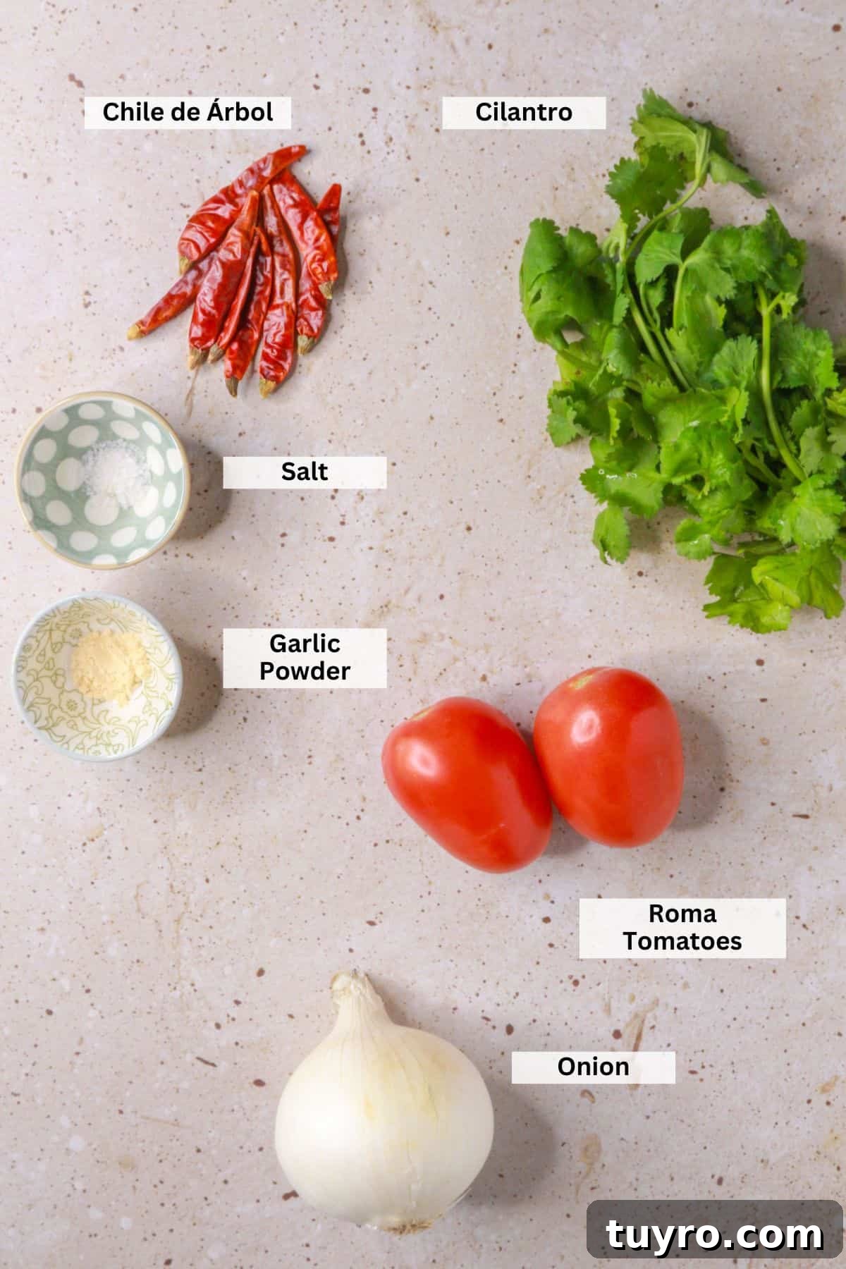 Spicy Chile de Árbol Tomato Salsa 3 Chile de arbol salsa ingredients: chiles de arbol, cilantro, salt, garlic powder, Roma tomatoes, onion