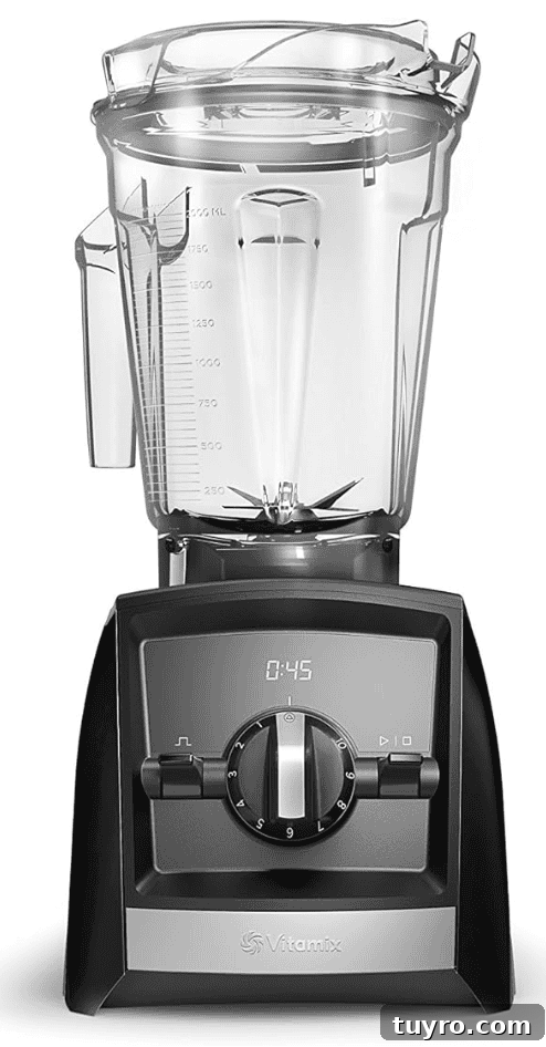 Spicy Chile de Árbol Tomato Salsa 10 Vitamix Blender