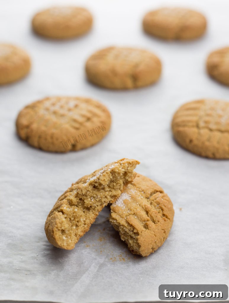 Chewy Gluten-Free Peanut Butter Cookies Recipe 2 Baked gluten free peanut butter cookies on sheet pan with one cookie split in half.