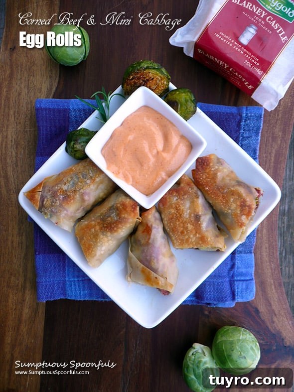 St Patricks Day Appetizers for a Festive Party 21 A plate of corned beef ande cabbage egg rolls with sauce.