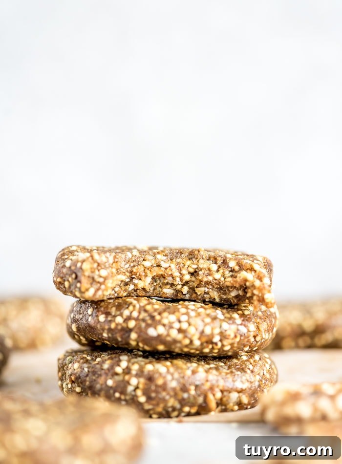 No-Bake Millet Energy Cookies: Quick No-Oven Snack Recipe 5 Healthy No-Bake Cookies - Running on Real Food