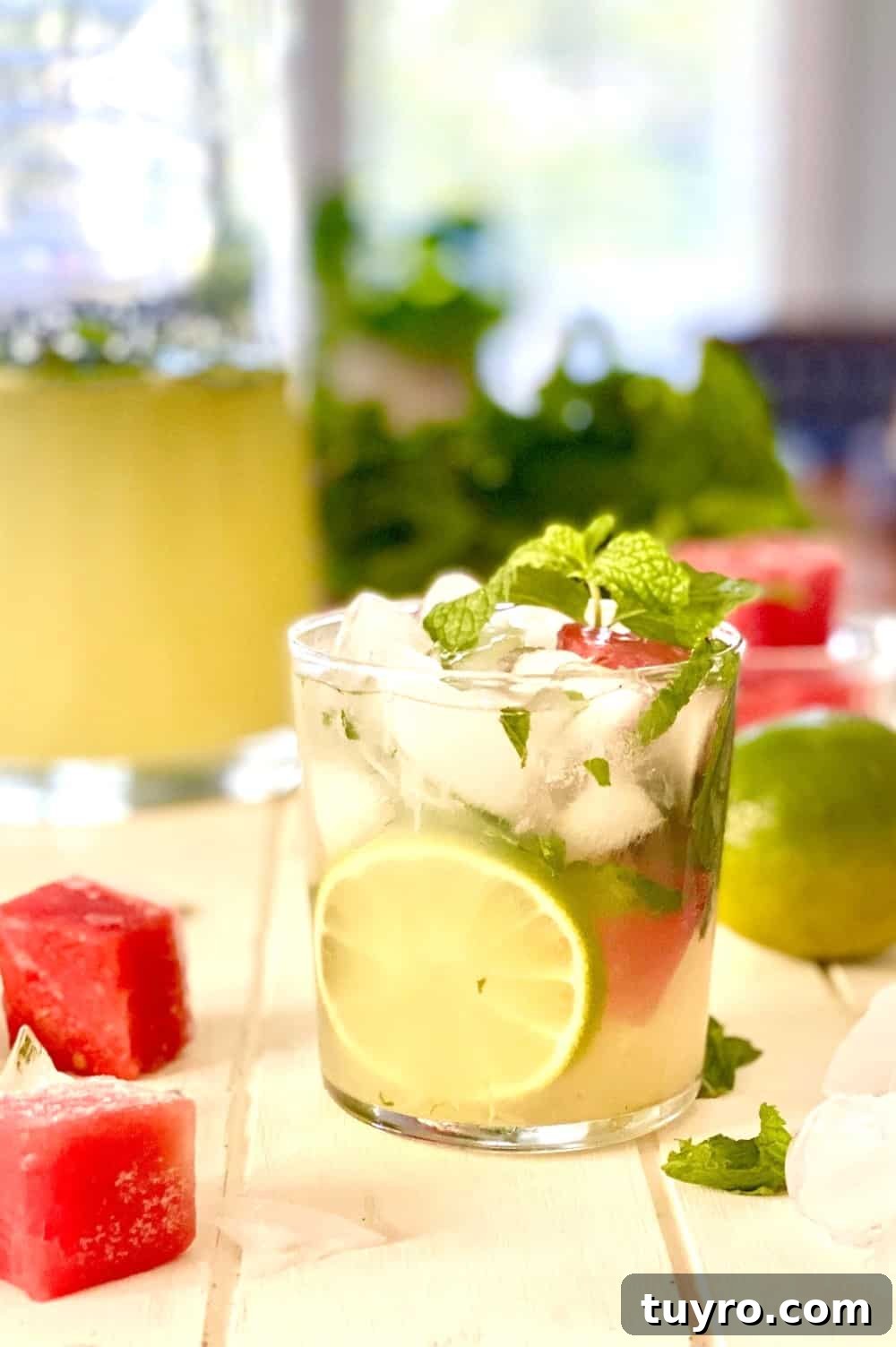 Sparkling Vodka Limeade Cocktail Recipe: Refreshing Citrus Fizz 2 glass with lime vodka drink