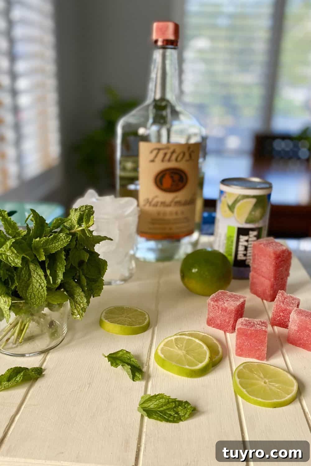 Sparkling Vodka Limeade Cocktail Recipe: Refreshing Citrus Fizz 3 vodka, limeade concentrate, mint, lime and ice cubes