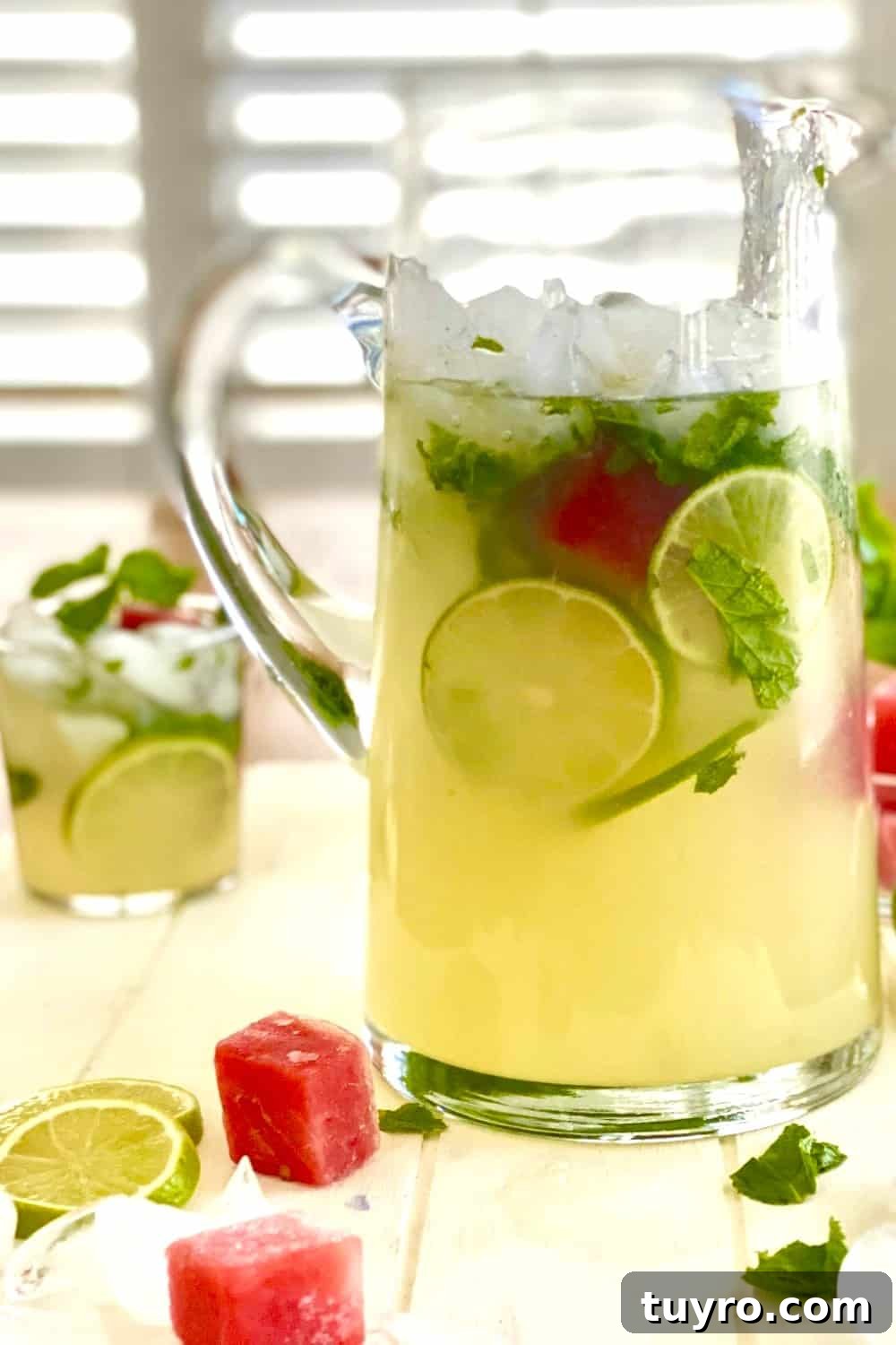 Sparkling Vodka Limeade Cocktail Recipe: Refreshing Citrus Fizz 5 icy pitcher of lime vodka cocktail