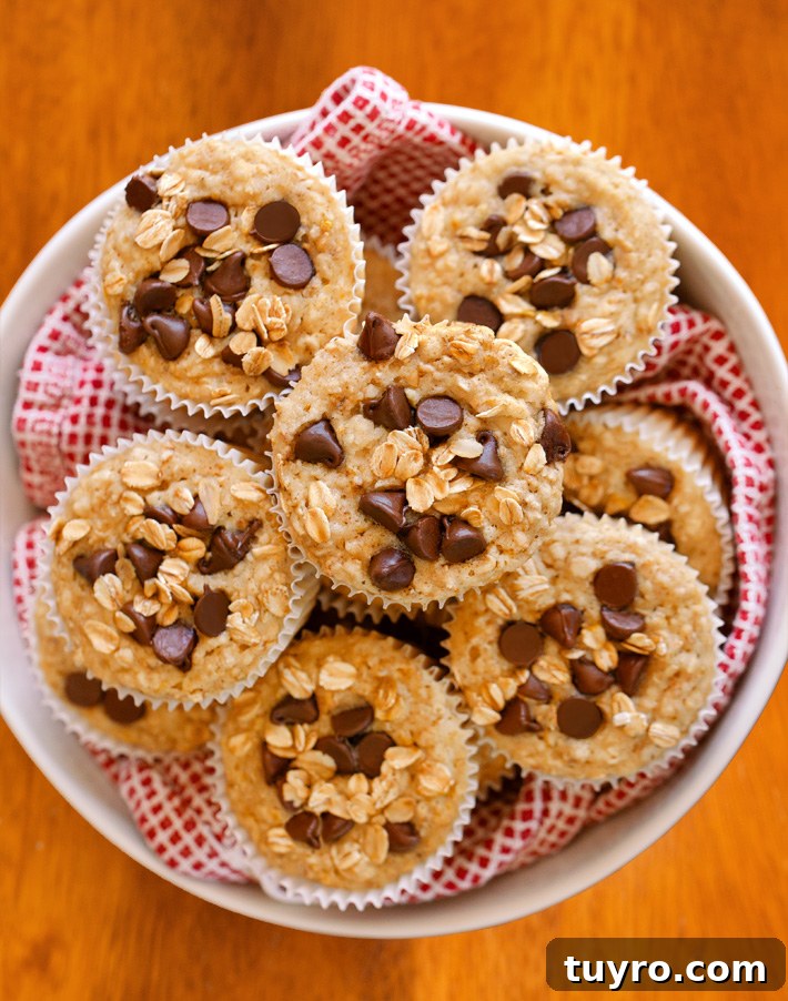 Healthy Breakfast Oatmeal Muffins