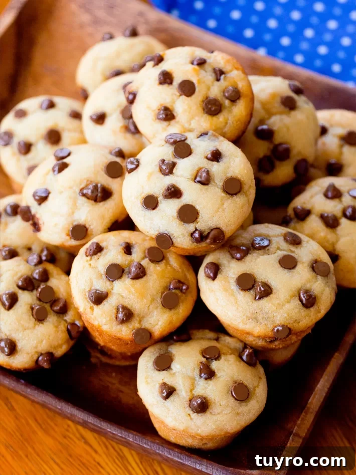 Healthy High Protein Muffins
