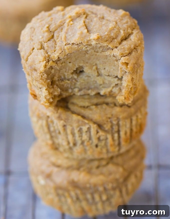 Flourless Banana Blender Muffins