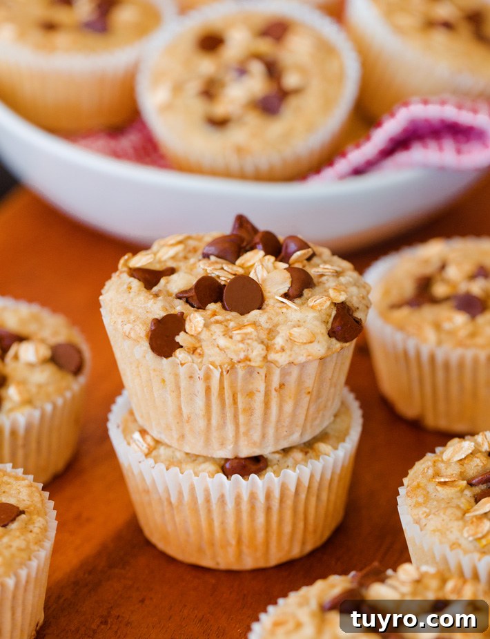 Easy Oatmeal Muffins With Chocolate Chips