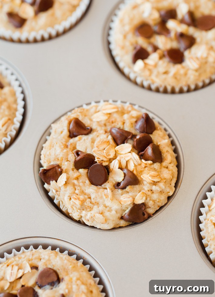 Soft Fluffy Oatmeal Muffins