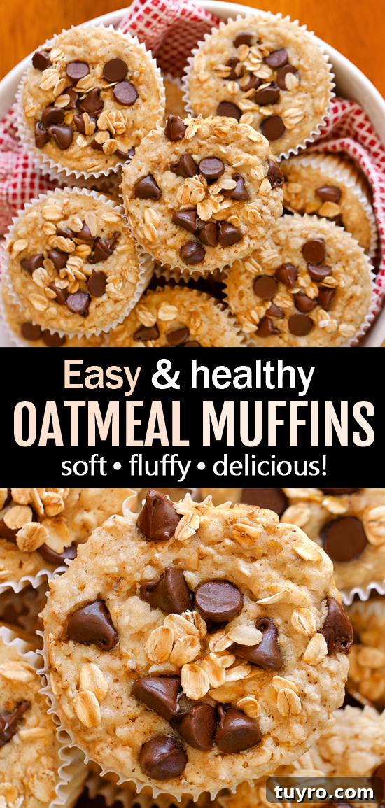 Healthy Snack Oatmeal Chocolate Chip Muffins