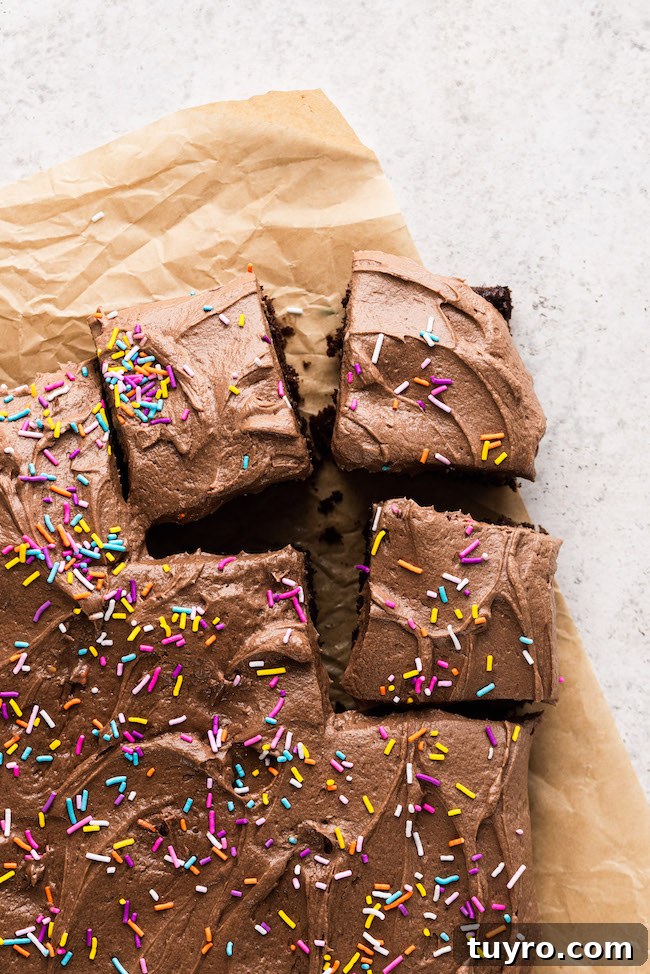 Decadent Dark Chocolate Birthday Snack Cake Recipe 6 chocolate birthday snack cake