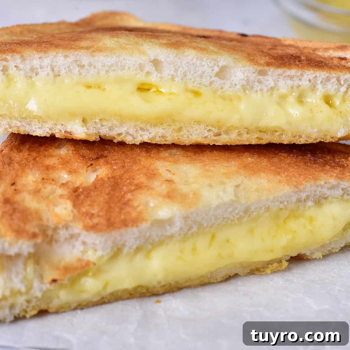 A close up of a gooey grilled cheese sandwich.