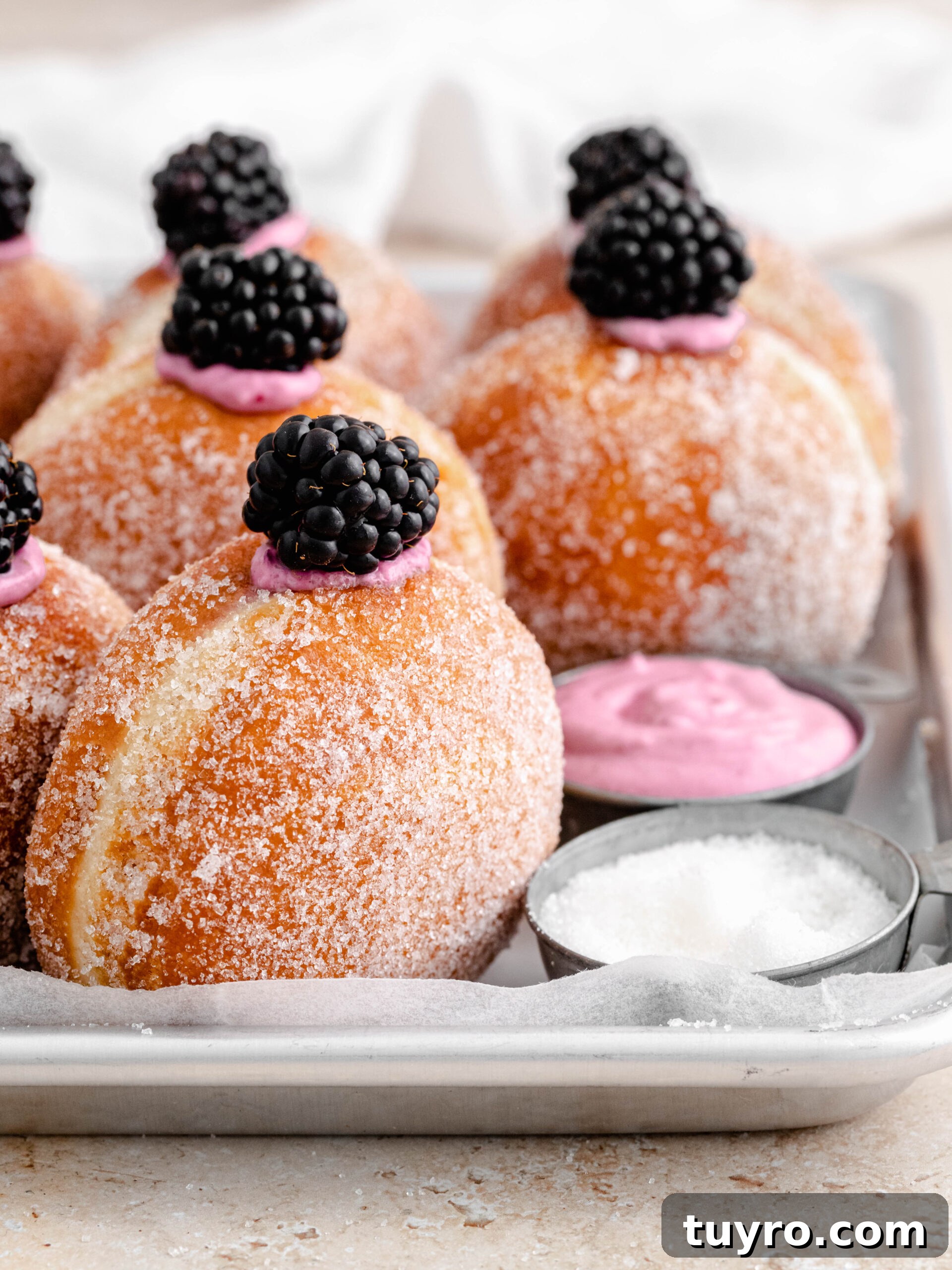 Blackberry Cheesecake Donuts with Creamy Filling 2 Rows of blackberry cheesecake donuts.