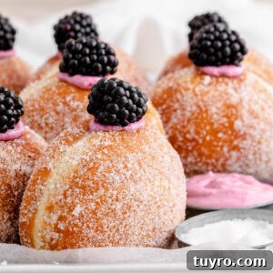 Blackberry Cheesecake Donuts with Creamy Filling 8 Blackberry cheesecake donuts recipe.