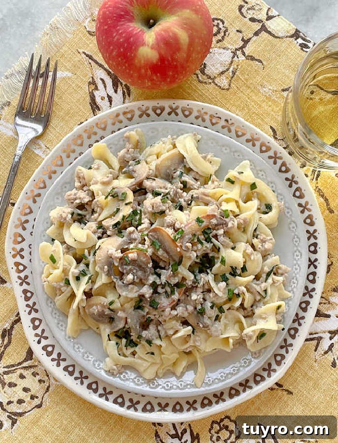 Creamy Ground Pork Stroganoff Recipe for Quick Weeknight Meals 2 plated pork stroganoff with a glass of wine and apple on the side