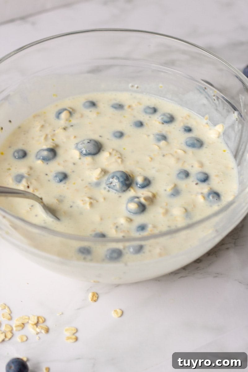 Lemon Blueberry Overnight Oats Recipe for Bright Morning Breakfast 3 Lemon Blueberry Overnight Oats Ingredients mixed in glass bowl