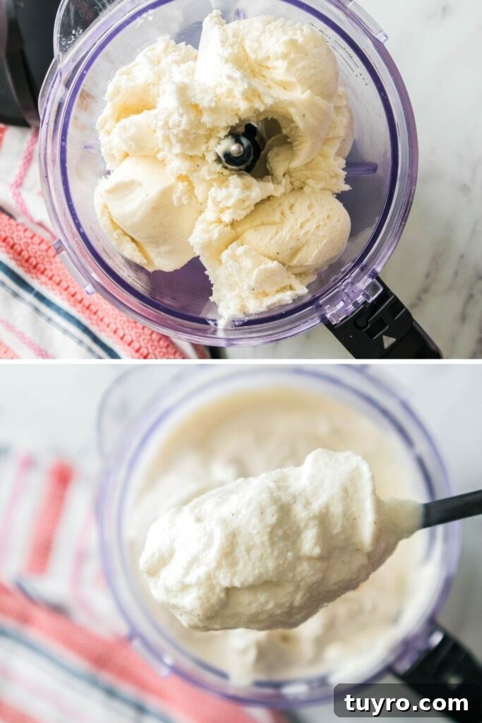 How to Make a Funfetti Milkshake 4 steps on how to make milk shake