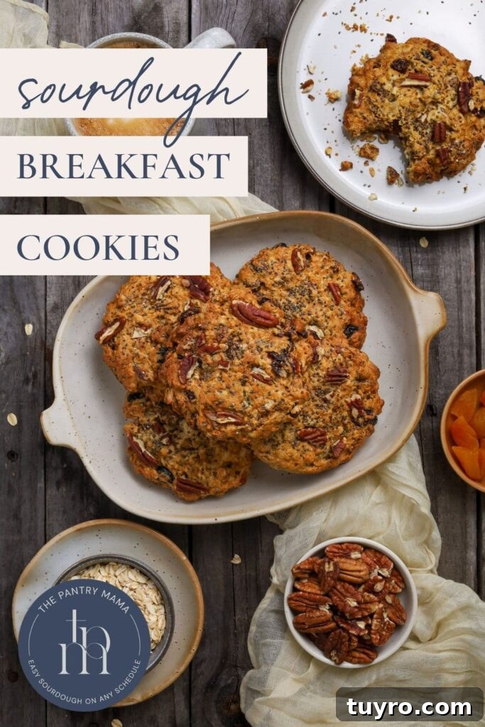 Sourdough Breakfast Cookies for Morning Coffee 11 Sourdough Breakfast Cookies - Pinterest Image