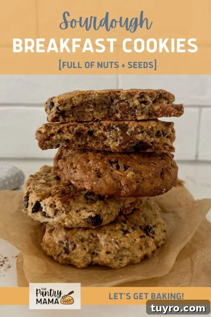 Sourdough Breakfast Cookies for Morning Coffee 13 SOURDOUGH BREAKFAST COOKIES - PINTEREST IMAGE