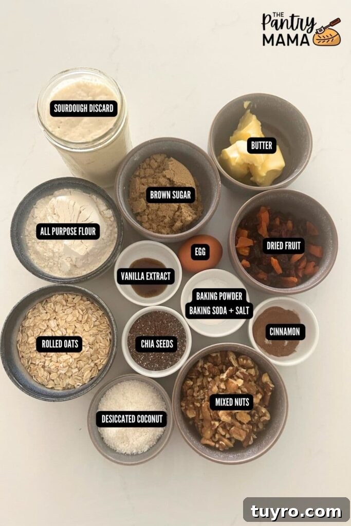 Sourdough Breakfast Cookies for Morning Coffee 5 Flat lay of ingredients for sourdough breakfast cookies.