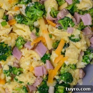 Ham, Broccoli and Cheddar Breakfast Scramble 12 Ham, Broccoli and Cheese Scramble