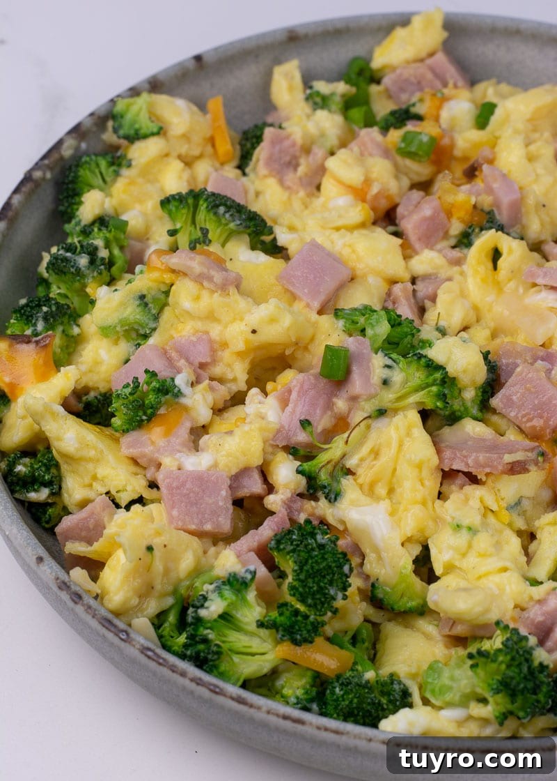 Ham, Broccoli and Cheddar Breakfast Scramble 9 Served ham, broccoli and cheese scramble on plate