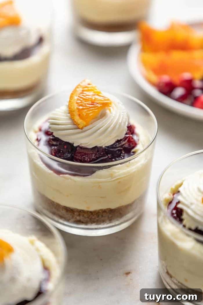 Mini No-Bake Cranberry Cheesecakes with Gingersnap Crust 11 Mini cranberry cheesecake in glass dishes topped with whipped cream and a slice of orange