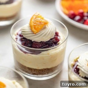 Mini No-Bake Cranberry Cheesecakes with Gingersnap Crust 12 Mini cranberry cheesecake in glass dishes topped with whipped cream and a slice of orange