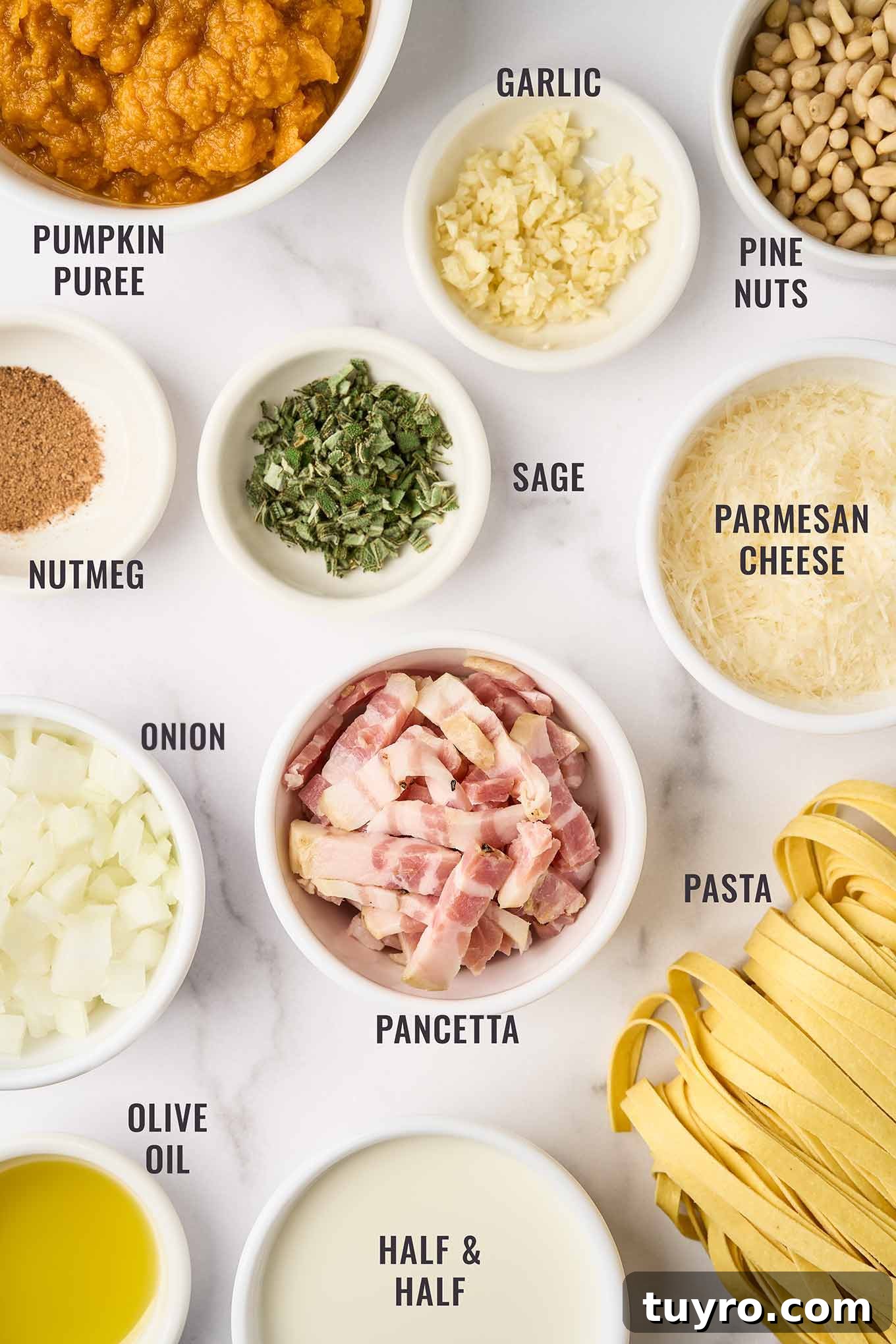 Creamy Pumpkin Pasta with Crispy Pancetta and Parmesan 3 A labeled, overhead view of the ingredients for creamy pumpkin pasta; fettuccine, pumpkin puree, half & half, pancetta, olive oil, onion, nutmeg, sage, garlic, pine nuts, Parmesan.