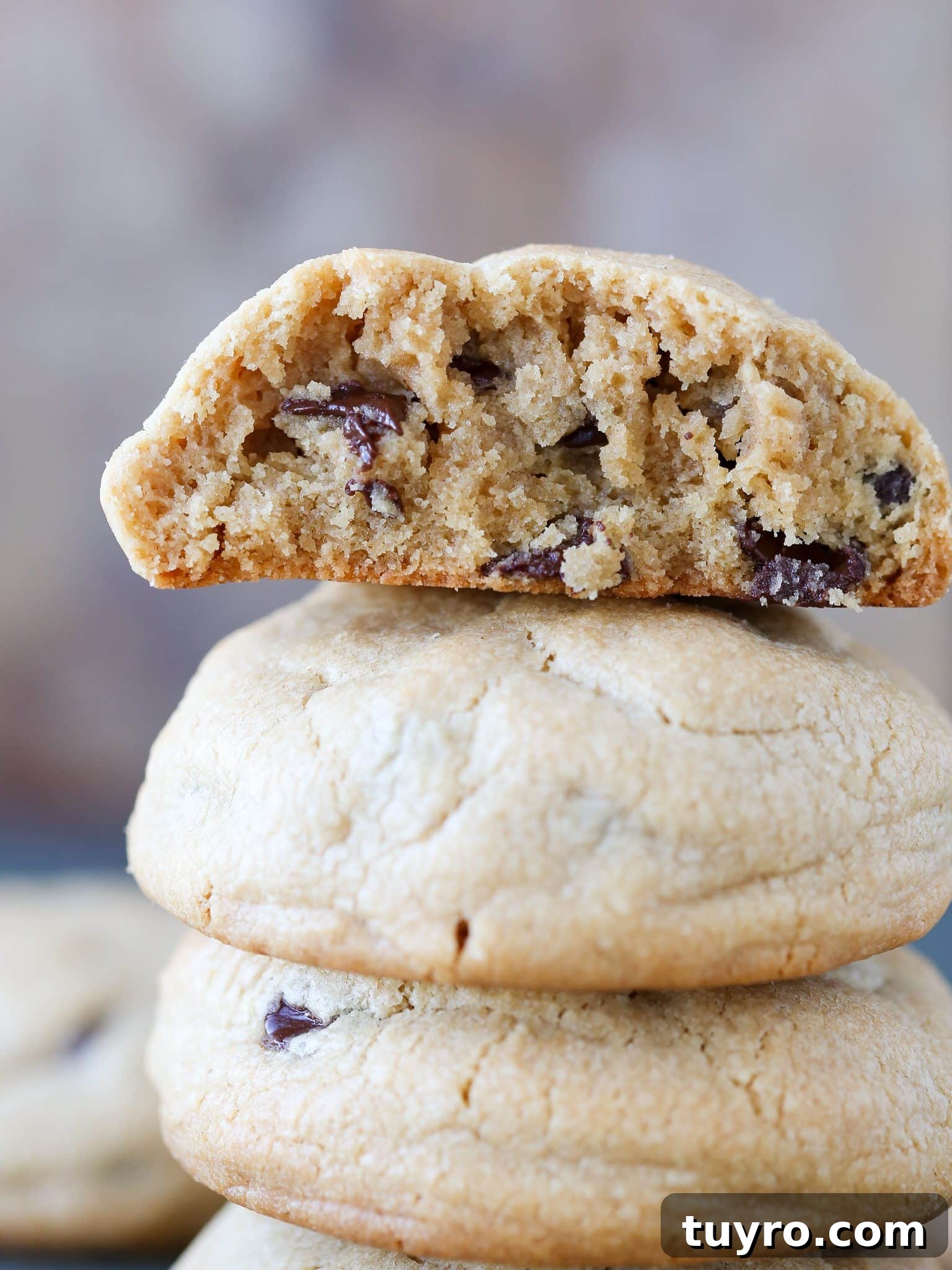 Chewy Peanut Butter Chocolate Chip Cookies Recipe 2 A stack of three thick peanut butter chocolate chip cookies.